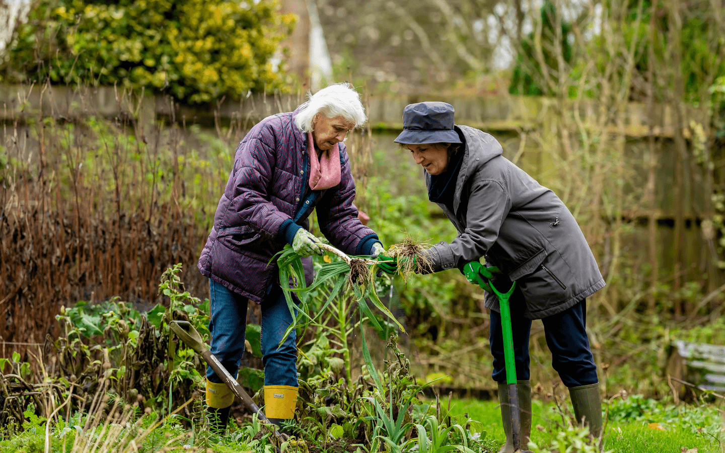 two adults gardening
