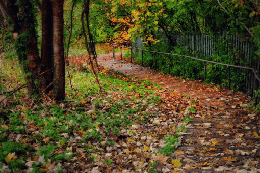 Buckinghamshire: countryside idyll and urban convenience. The perfect place to relocate and develop your public sector career